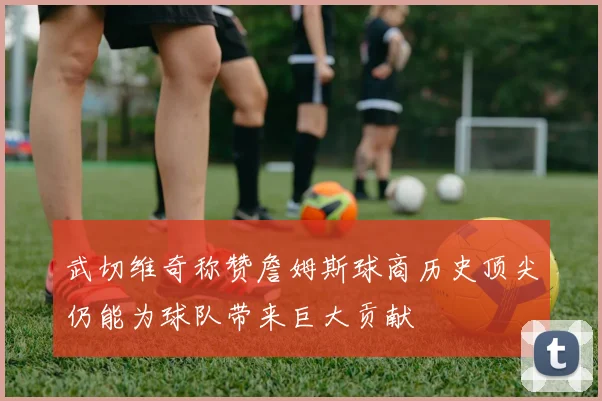 武切维奇称赞詹姆斯球商历史顶尖仍能为球队带来巨大贡献