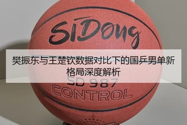 樊振东与王楚钦数据对比下的国乒男单新格局深度解析